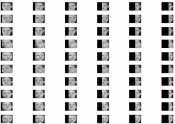 Fig.  7  Face  image  with  occlusion  (10~60%)