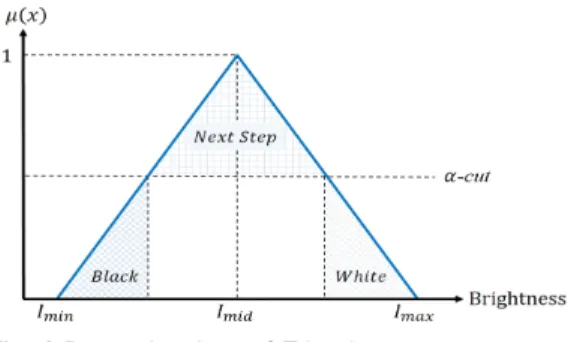 Fig.  4  Processing  Area  of  Triangle