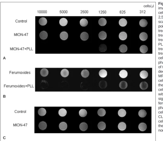 Fig. 5. Gradient-echo T2-weighted MR images of the phantoms with different cell numbers (i.e., 312, 625, 1,250, 2,500, 5,000 and 10,000 cells/ l)