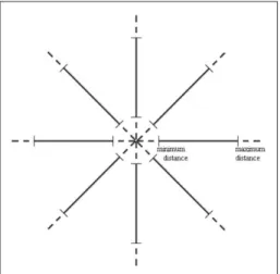 Fig. 4. The mass template with dimensions 30 30 pixels.