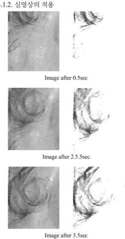 Fig.  6  Velocity  Field  of  (a)Horn  Schunck  and  (b)Proposed  methods 