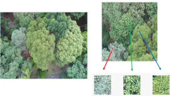 Fig.  2  horizon/vertical  and  diagonal  direction