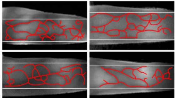 Fig.  8  The  example  of  ground  truth  image
