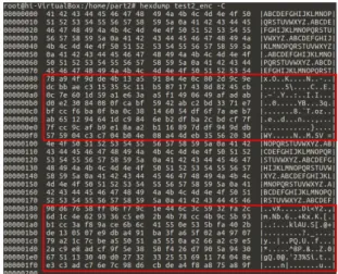 Fig.  9  The  Result  of  Partial  Encryption  File
