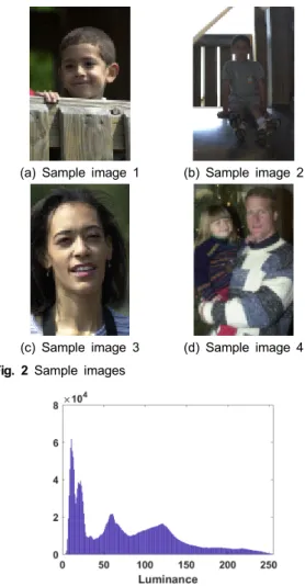Fig.  5  Luminance  transfer  function  of  Figure  2