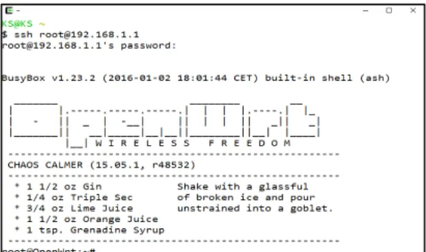 Fig.  1  OpenWRT  connected  with  SSH