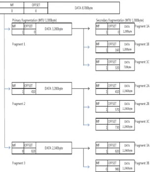 Fig. 1 Fragmentation IPv4 datagram header fields