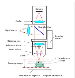 Fig. 1 principle of WSI
