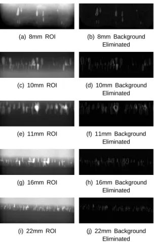 Fig. 4 ROI Extraction Result
