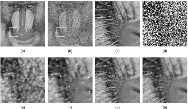 Fig. 1 Baboon image (a) Original image (b) Noise image (c) Zoom of original image (d) Zoom of noise image (e)  A-TMF (f) AWMF (g) MSWF (h) PFA