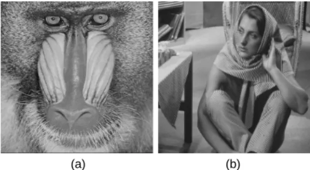 Fig. 1 The original test images (a) Baboon (b) Barbara