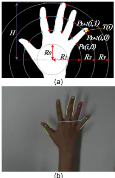 Fig. 6 Finger contour estimation using concentric-circle   tracing algorithm (a) Feature and notations of algorithm  (b) Result of estimated finger contour and fingertips