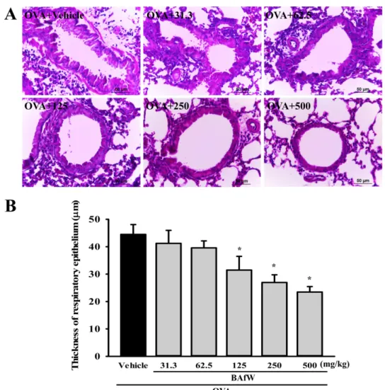 Figure 2. Observation of histopathological structure of lung tissue during dose dependence analysis of BAfW
