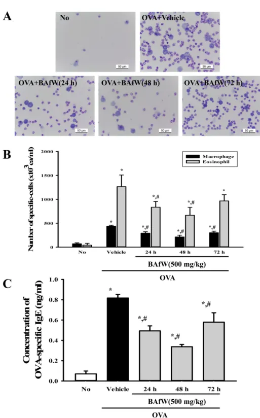 Figure 4. Measurement of number of total immune cells and level of OVA-specific IgE in BALF for durability analysis of BAfW