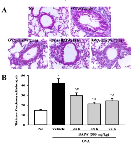 Figure 5. Observation of histopathological structure of lung tissue for durability analysis of BAfW
