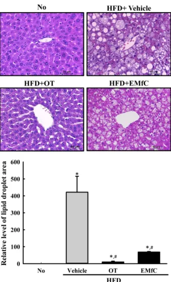 Figure 1. Measurement of fat accumulation in the liver tissue.