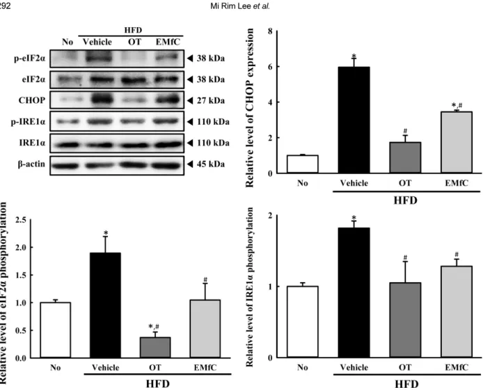 Figure 2. Expression of key marker proteins for ER stress. The expression levels of eIF2α, p-eIF2α, CHOP, p-IRE1α and IRE1α in total proteins were detected with specific antibodies