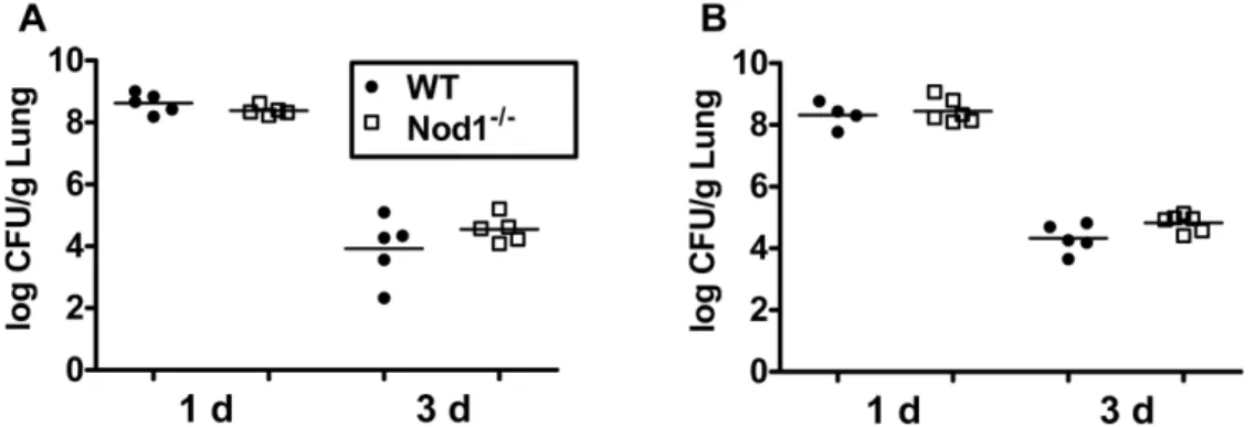 Figure 1. Nod1 does not affect bacterial clearance in the lungs of A. baumannii-infected mice