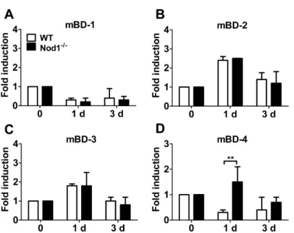 Figure 4. Expression of β-defensins in the lungs of WT and Nod1-dificient mice infected with A