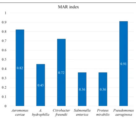 Figure 1. Multiple Antibiotic Resistance (MAR) index values of pet turtle-borne bacterial species (The index was calculated by dividing the no