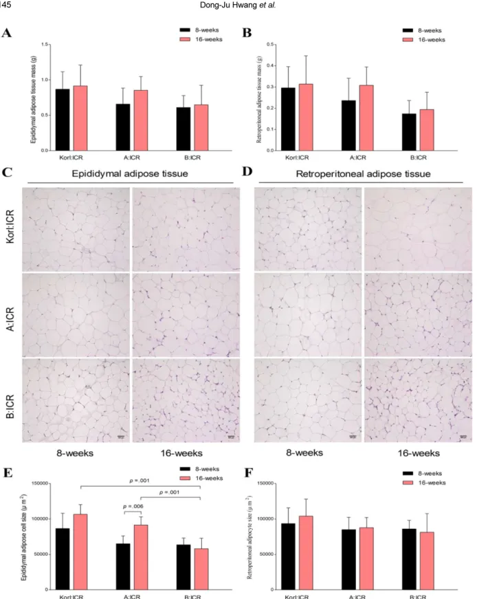 Figure 3. Comparative analysis of adipose tissue mass and adipocyte size among three ICR subgroups