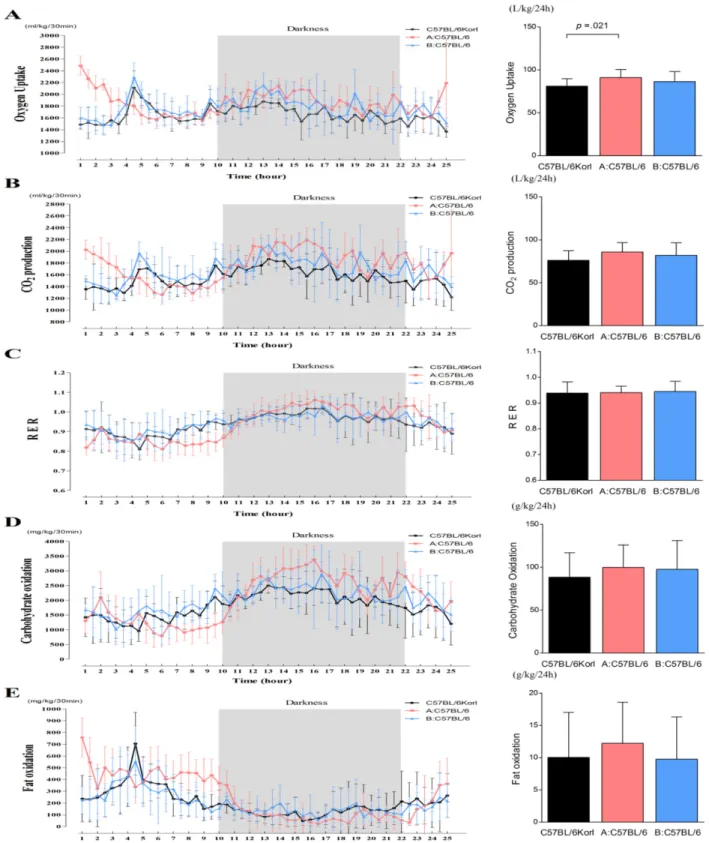 Figure 4. Comparative analysis of the metabolic phenotypes of three C57BL/6 subgroups during a period of 24 hours at RMR