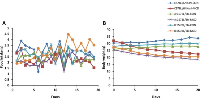 Figure 1. Changes in body weight (A) and food consumption (B) of mice originating from different sources following 3 weeks of the MCD diet