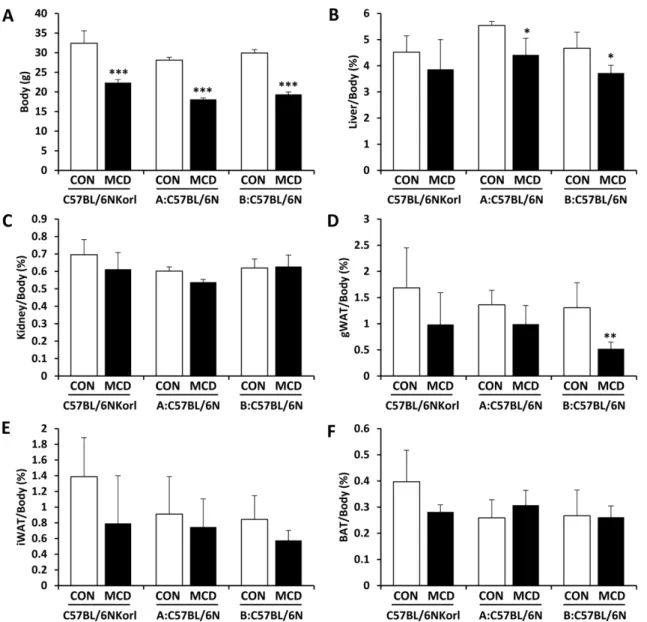 Figure 2. Effect of MCD diet for 3 weeks on the body weight (A) and relative weights of tissues including liver (B), kidney (C), gWAT (D), iWAT (E), and BAT (F) of mice originating from three different sources