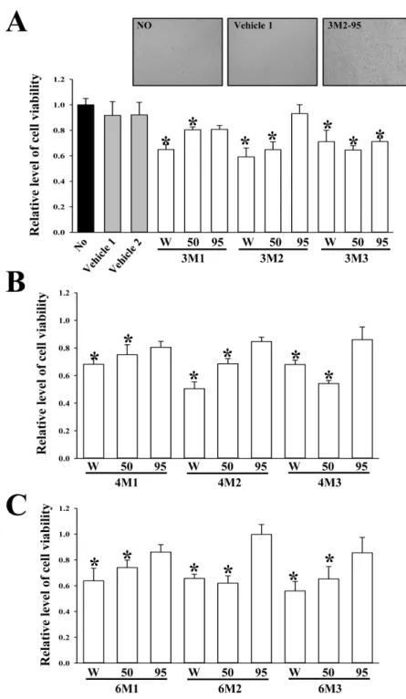 Figure 3. Cytotoxicity of 27 EMfCs. The cell viability was measured in 3T3-L1 adipocytes treated with 27 EMfCs (200 µg/mL) that were fermented for 3 weeks (A), 4 weeks (B) and 6 weeks (C)