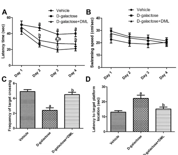 Figure 1. Escape latency training trials (A), average speed (cm/sec) (B), frequency of target crossing (C) and time spent in correct quadrant (D) of vehicle-treated,  D -galactose-treated, and  D -galactose-treated group with Dendropanax morbifera Léveille