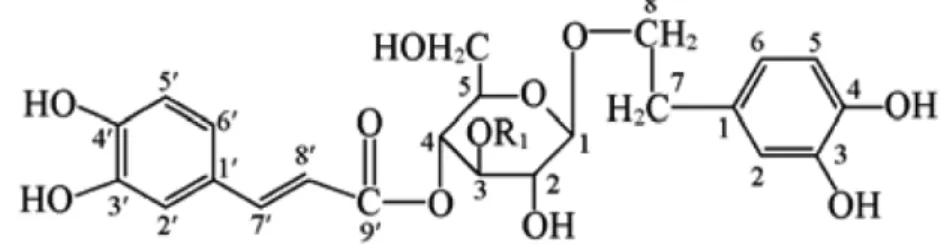 Figure 1 shows the chemical structures of phenyl- phenyl-ethanoid glycosides (PhGs) including acteoside and plantamajoside
