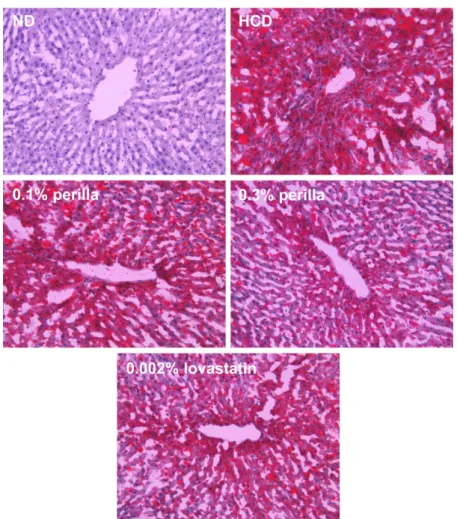 Table 2. Effects of perilla oil and lovastatin on the organ weights of high-cholesterol diet (HCD)-fed rabbits