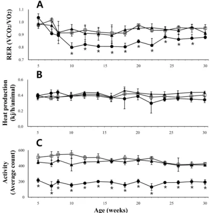 Figure 3. The changes of respiratory exchange ratio (RER) and related parameters in db/db mice