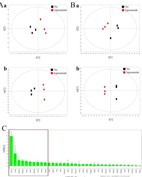 Figure 2. Metabolomics pattern recognition using PCA (a) and OPLS-DA (b). (A) Global profiling of loperamide treatment in the serum samples
