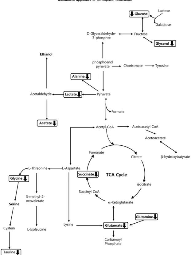 Figure 5. Pathway related to endogenous metabolites that were changed after loperamide treatment