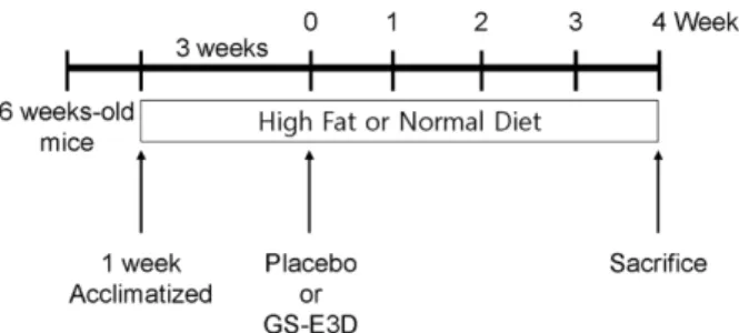 Figure 1. Schematic diagram of the experimental protocol.