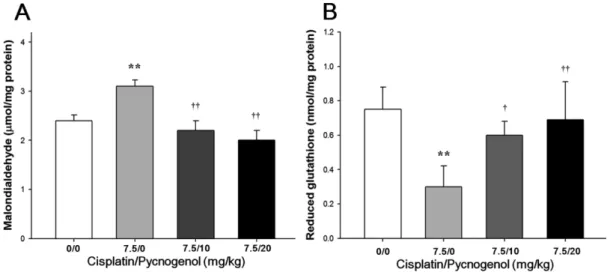 Table 1. Serum biochemical values of male rats treated with cisplatin and/or PYC
