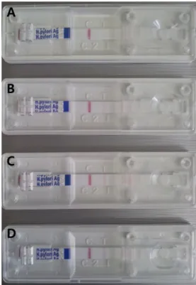 Figure 1. Results of Helicobacter pylori Stool Ag Kit based on the number of H. pylori ATCC 49503 cells