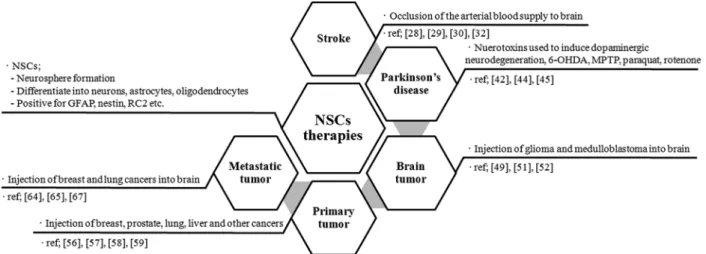 Figure 1. Application of neural stem cells (NSCs) therapies. NSCs the self-renew and differentiate into major cell types of the brain exist, such as astrocytes, oligodendrocytes, and neurons, in the developing and adult central nervous system (CNS)
