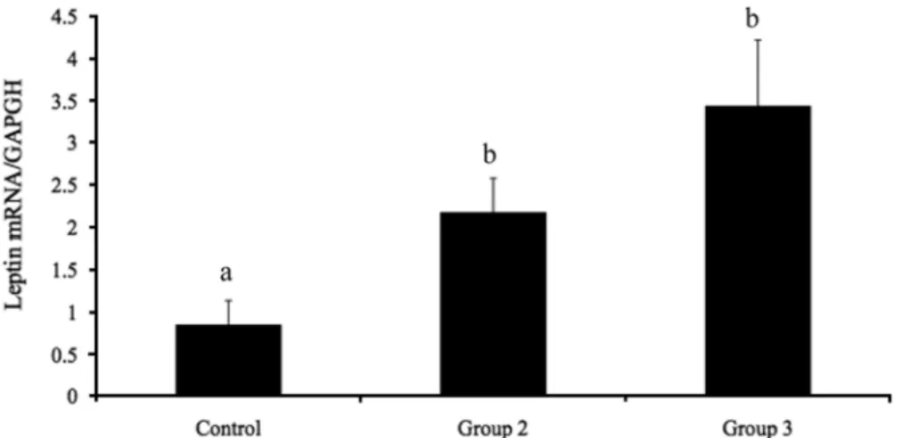 Figure 4. Effects of estrogen (EB) and progesterone (P) on serum leptin levels in ovariectomized rats (OVX)