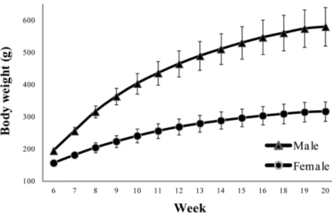 Figure 2. Changes in food consumption of male and female rats
