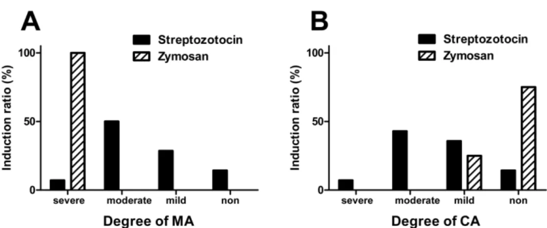 Figure 2. The severity of thermal hyperalgesia (TH, A) or mechanical hyperalgesia (MH, B) after streptozotocin or zymosan injection