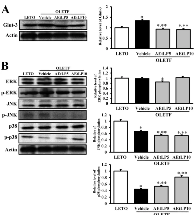 Figure 4. Glut-3 expression and its regulatory mechanism in the liver. Fifty micrograms of protein per sample was immunoblotted with antibody for p-ERK, ERK, p-JNK, JNK, p38, p-p38, or actin