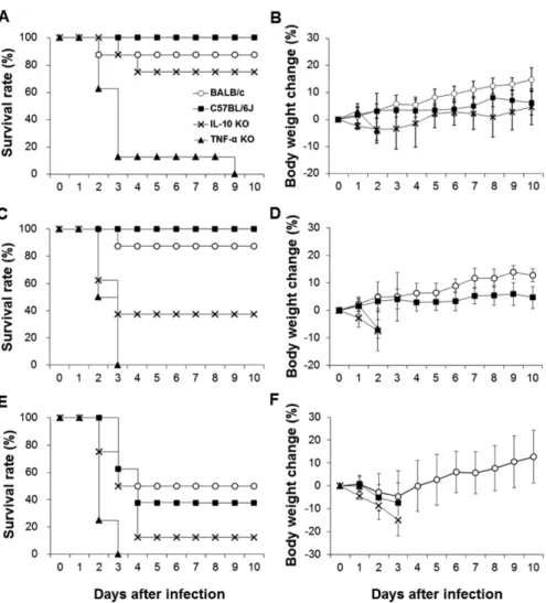 Figure 4. Survival rates (A, C, and E) and body weight changes (B, D, and F) of BALB/c, C57BL6J, IL-10 knockout, and TNF-α knockout mice