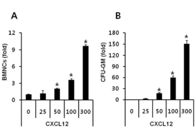 Figure 1. Migration of BMNCs and CFU-GM progenitor cells to a CXCL12 gradient. CXCL12 directly chemoattracts CFU-GM progenitor cells as well as BMNCs