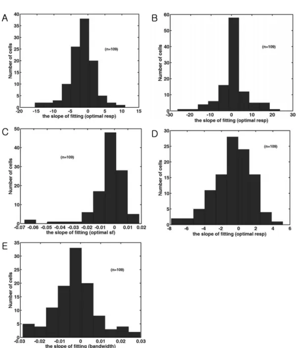Figure 4.  The distribution of the slope of fitting line of five parameters. (A). Histogram of the slope of fitting line in the optimal response of the averaged response of each cell