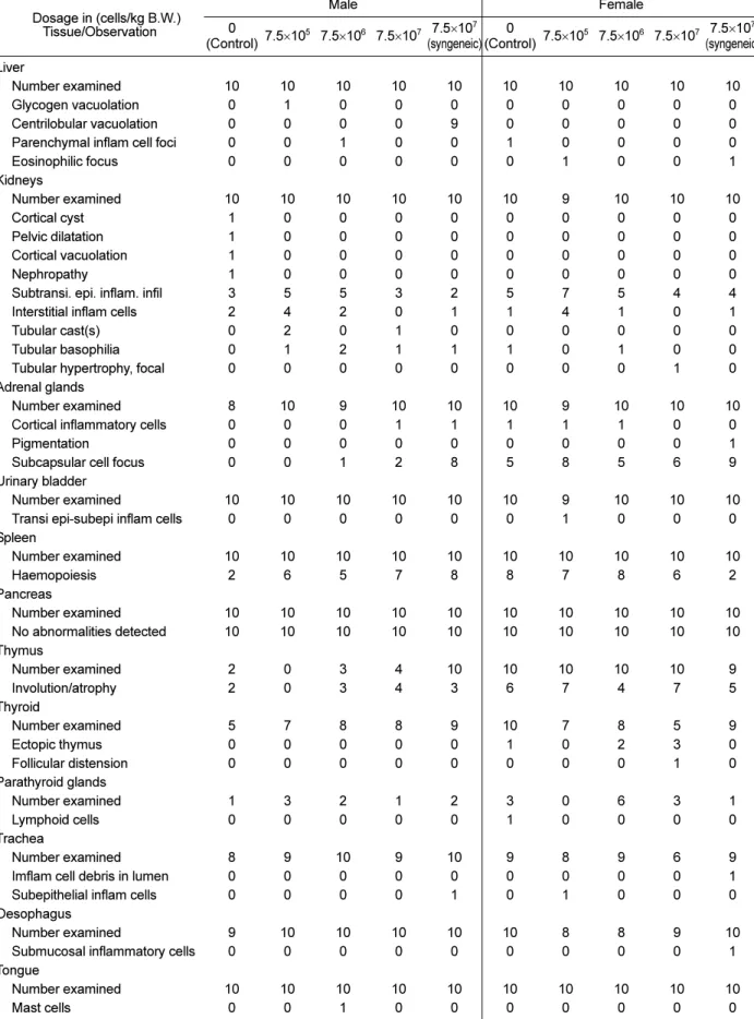 Table 6.  Summary incidence of the microscopic observations of mice intradermally treated with human fibroblasts in the 13-week toxicity study