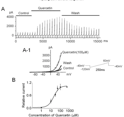 Figure 2.  Effect of extracellular quercetin on the outward current in hUC-MSCs. (A) Ramp pulse was applied from -120 to 60 mV for 250 ms at a holding potential of -80 mV and the pulse was applied at every 10 s