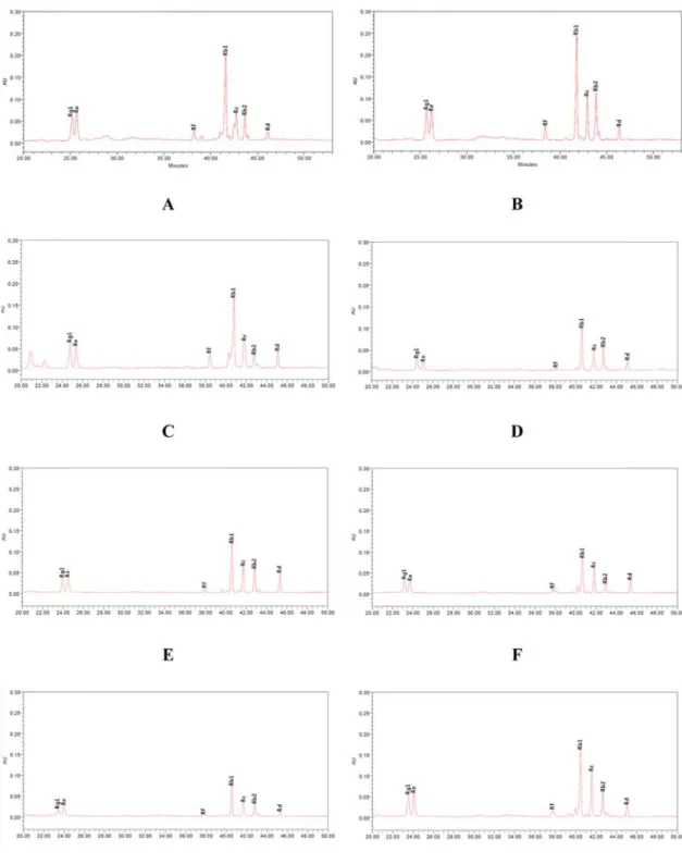 Fig. 3. HPLC chromatogram of ginsenosides in the Korean wild simulated ginseng. A : 7 years old wild simulated ginseng collected spring in Dan-Yang, B : 10 years old wild simulated ginseng collected spring in Dan-Yang, C : 7 years old wild simulated ginsen