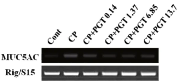 Fig. 2. Effect of PGT on CSE plus PMA-induced MUC5AC mucin production. 